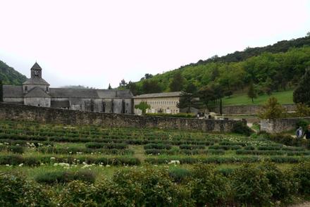 プロヴァンスの修道院。手前にラベンダー畑が広がっています。
