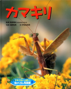 カマキリ ドキドキいっぱい 虫のくらし写真館 学習 本を探す ポプラ社