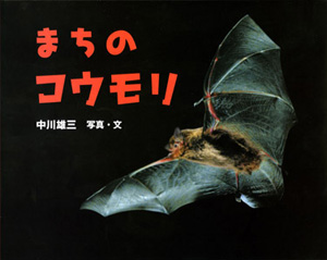 まちのコウモリ ふしぎいっぱい写真絵本 自然科学 本を探す ポプラ社