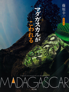 マダガスカルがこわれるMADAGASCAR:Threats to Madagascar’s Biodiversity