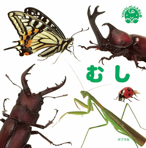 むし｜てのひらしゃしんえほん｜知育｜本を探す｜ポプラ社