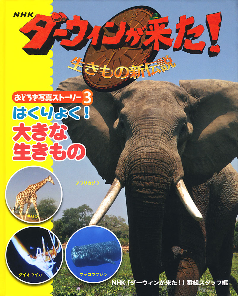 日本未発売 ダーウィンが来た 生きもの新伝説 DVD NHK nmef.com
