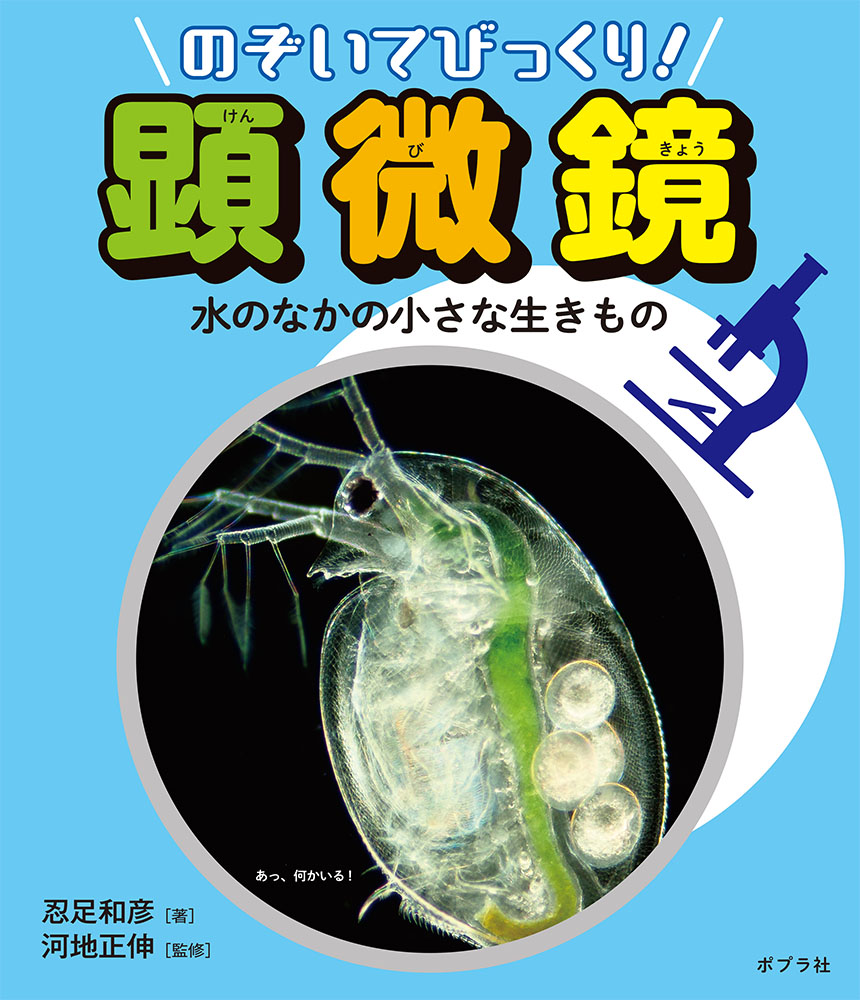 水のなかの小さな生きもの のぞいてびっくり 顕微鏡 自然科学 本を探す ポプラ社