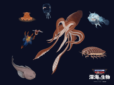 深海の生物　PC用壁紙