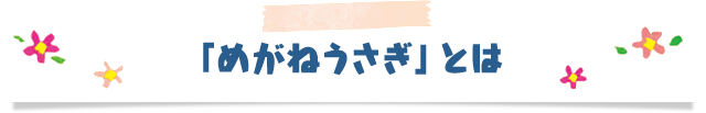 「めがねうさぎ」とは